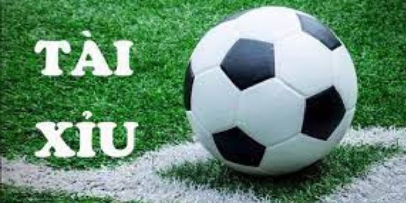 ca-cuoc-keo-tai-xiu-nhan-dinh Soi kèo đồng thời nhận định trước khi đặt cược